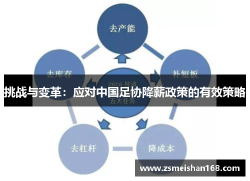 挑战与变革：应对中国足协降薪政策的有效策略