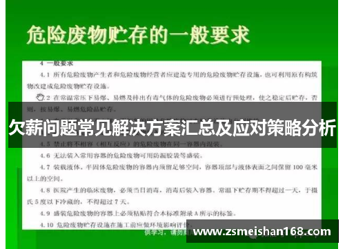欠薪问题常见解决方案汇总及应对策略分析